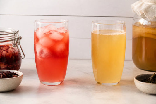 Shrub Soda vs Regular Kombucha: Key Differences