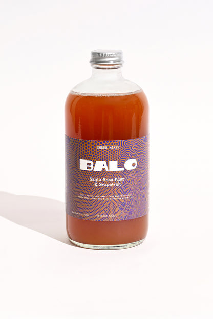 Santa Rosa Plum Grapefruit Shrub Mixer