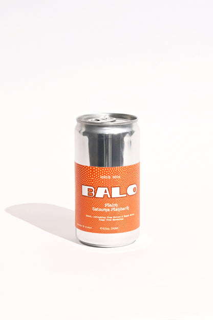 4 Pack Melon Satsuma Mandarin Shrub soda